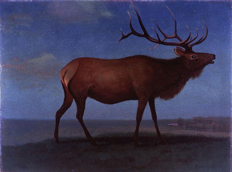 Albert Bierstadt Buffalo Bill Historical Center oil painting image